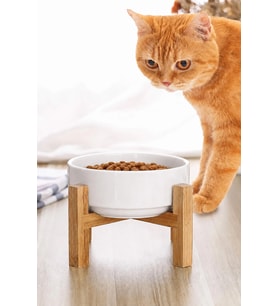 MAtGo Pati Çam Ağacı Kedi Köpek Beslenme Mama ve Su Kabı Seramik Kaseli 500Ml Hacim Kaymaz 1 Adet