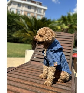 Köpek kıyafeti, Organik pamuk kumaş köpek bornozu - Mavi