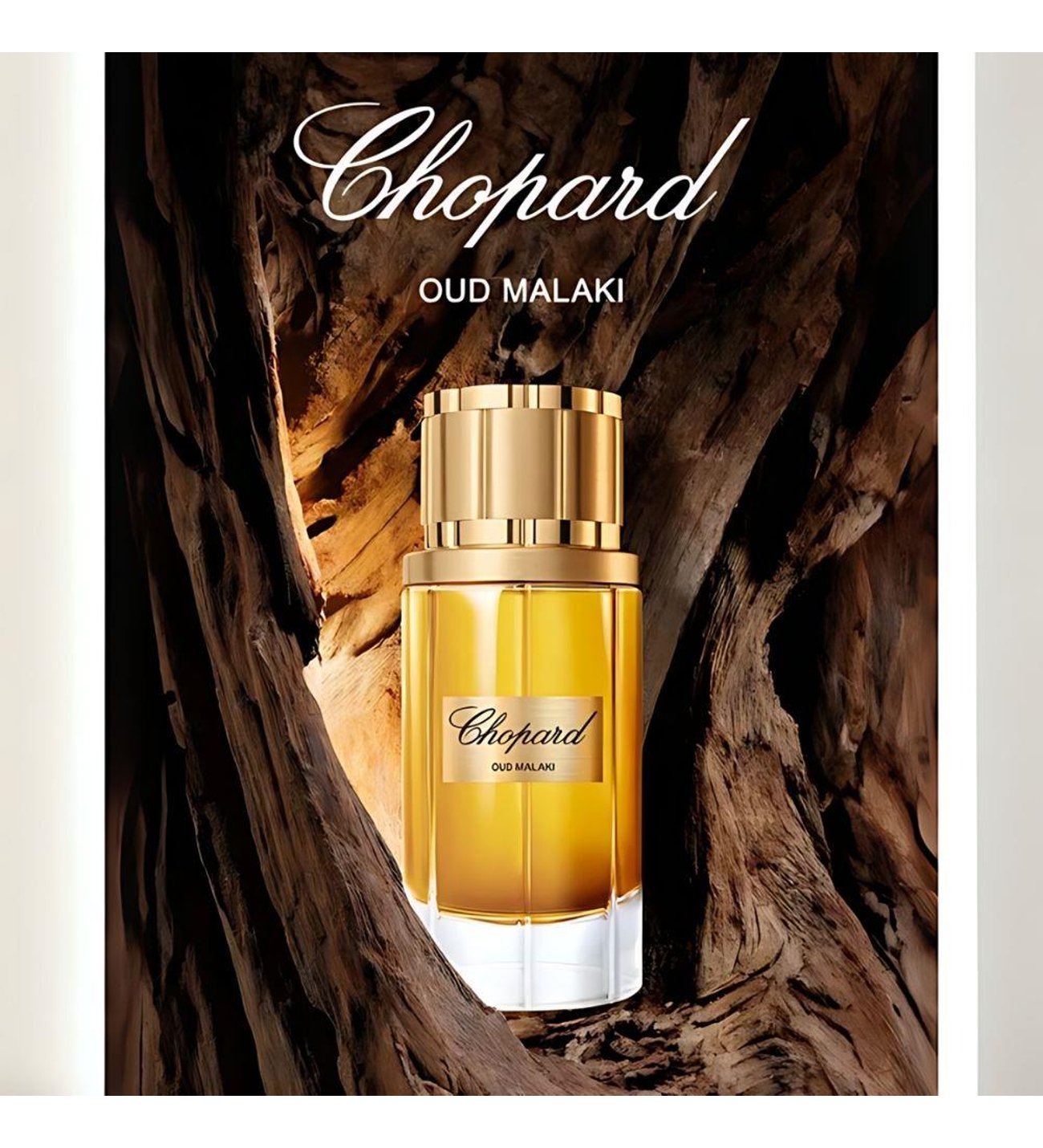 Chopard Oud Malaki EDP 80 ml Erkek Parfümü