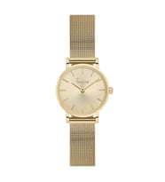 FREELOOK FL.4.10035-2 KADIN KOL SAATİ (Gold)