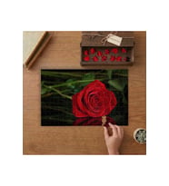Kırmızı Gül - Yakın Çekim Tasarımı 240 parça Ahşap Puzzle Ahşap Kutuda MP03688