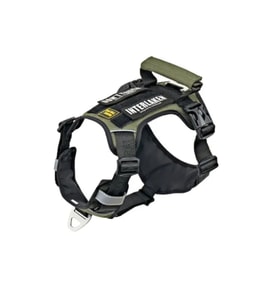 INTERLAKEN Köpek HARNESS Kosum Takimi Hafif Küçük ve Büyük Köpekler Uzanma Önleyici Gögüs Tasmasi SIYAH&YESIL XL BEDEN
