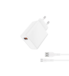 33W Type-C Hızlı Şarj Seti PD Destekli Telefon Şarj Adaptörü ve Kablosu (Beyaz)