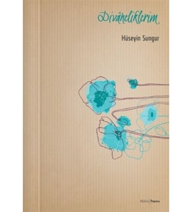 Divaneliklerim