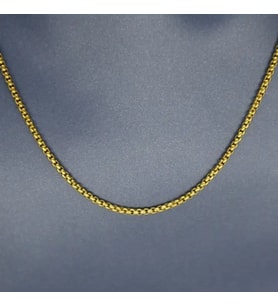 Hedea 2 mm Gold Kadın Çelik Kolye 60 cm