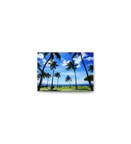 DBSanatevi Palmiyeler Tablo 40 X 60 cm