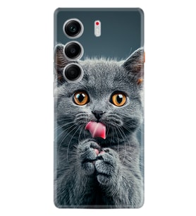 Camon 40 4G Kılıf Boutique Baskılı Resimli Komik Kedi Pcode -008