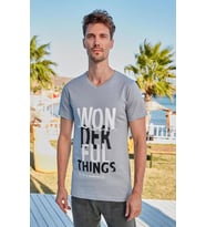 Berrak 4075 Erkek T-shirt (Antrasit)