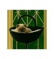 Gezegen Kedi Cam Yatağı & V Cam Yatağı & Kedi Pencere Yatağı