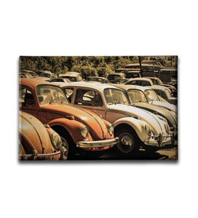 Klasik Vosvoslar Canvas Tablo ATY171