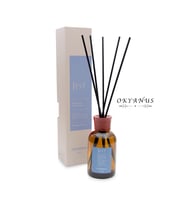 Jest Okyanus Bambu Çubuklu Oda Ortam Kokusu 100 ml