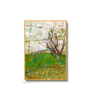 Dikey Çerçeveli Cam Vangogh 57 Modern Ev Dekoru Duvar Sanatı Ev Ofis Tablosu (Altın)