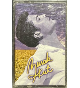 (Plak Değildir KASET tir) Kaset Burak Kut Burak Kut Kaset