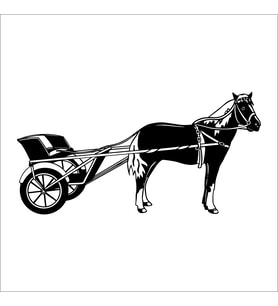 AT FOLYO STİCKER 30cm Uzunluk (Karışık)