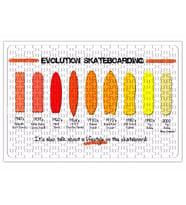 Evolution Skateboarding Puzzle 240 Parça Yapboz