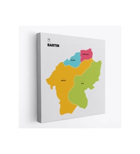 Bartın İli ve İlçeler Haritası  Dekoratif Kanvas Tablo 1282