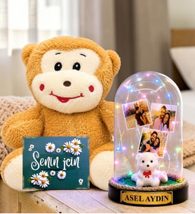 Kişiye Özel 3 Fotoğraflı Renkli LED Işıklı Fanus(beyaz ayıcıklı) ve Peluş Maymun Sevgiliye Hediye Kadına Hediye