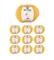 10 Adet Amigurumi El Örgü İpi 50gr 317