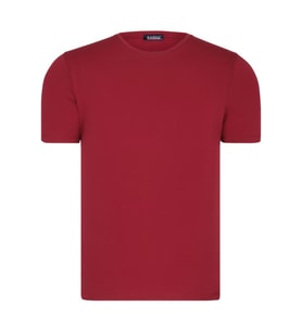 T8569 DEWBERRY BİSİKLET YAKA ERKEK T-SHIRT-DÜZ BORDO (Karışık)