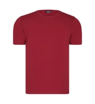 T8569 DEWBERRY BİSİKLET YAKA ERKEK T-SHIRT-DÜZ BORDO (Karışık)