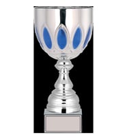 ODAK KUPA - X Large Kupalar - XL-019 A - 33 cm