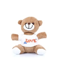 Love Tişörtlü Peluş Ayıcık