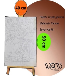 Van Gogh Ren Nehrinde Yıldızlı Geceler Sayılarla Boyama Seti 40x 50 cm (Tuvale Gerili)
