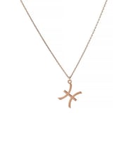 Balık Burcu Gümüş Unisex Hediyelik Kolye (Rose)