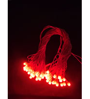 10 Metre Led Işık 220Volt Dekor Ledi - Yılbaşı ağacı ledi - Sabit Yanabilen Büyük Ledli (Kırmızı)