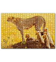 Cakapuzzle Atletik Çita ve Sevimli Yavruları  Puzzle Yapboz MDF (Ahşap) (500 Parça)