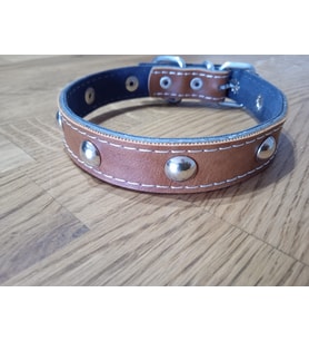 Metal Detaylı Aksesuarlı Deri Köpek Tasma (Kahverengi)