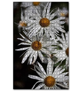 Cakapuzzle Dev Beyaz Papatyalar Puzzle Yapboz MDF (Ahşap) (255 Parça)