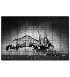Cakapuzzle Antilop Kavgası  Puzzle Yapboz MDF (Ahşap) (1000 Parça)