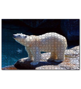 Cakapuzzle Kutup Ayısı Hayvanat Bahçesinde  Puzzle Yapboz MDF (Ahşap) (500 Parça)
