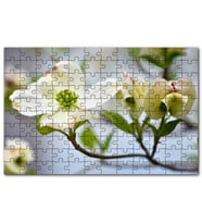 Cakapuzzle Dallar Beyaz Çiçekler Yeşil Tohumlar Görsel Puzzle Yapboz MDF (Ahşap) (500 Parça)