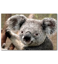 Cakapuzzle Ağaçtaki Sevimli Koala Yakın Çekim Puzzle Yapboz MDF (Ahşap) (500 Parça)
