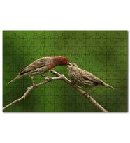 Cakapuzzle Dalda Dişisini Besleyen Saka Kuşu Puzzle Yapboz MDF (Ahşap) (255 Parça)