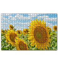 Cakapuzzle Günebakan Çiçekleri  Puzzle Yapboz MDF (Ahşap) (500 Parça)