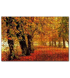 Cakapuzzle Sonbahar Orman Yolu ve Yapraklar  Puzzle Yapboz MDF (Ahşap) (1000 Parça)