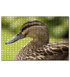 Cakapuzzle Kahverengi Ördek Yakın Plan  Puzzle Yapboz MDF (Ahşap) (255 Parça)