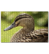 Cakapuzzle Kahverengi Ördek Yakın Plan  Puzzle Yapboz MDF (Ahşap) (255 Parça)