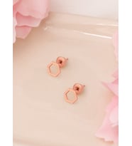 ALTIGEN ŞEKLİNDE GÜMÜŞ KÜPE (Rose)