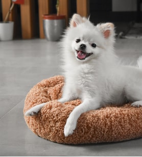 Köpek - Kedi Evcil Hayvan Yatağı (Kahverengi Açık)