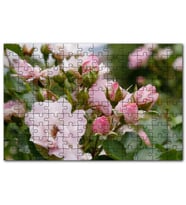 Cakapuzzle Beyaz ve Pembe Gonca Güller ve Yapraklar Puzzle Yapboz MDF (Ahşap) (500 Parça)