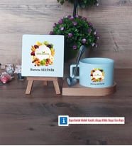 Diyetisyen Dekoratif Taş, Kupa Bardak Kırmızı Hediye (Model 7)