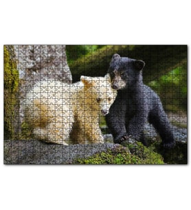 Cakapuzzle Ormanda Sarı Ve Siya Ayı Yavruları Görseli  Puzzle Yapboz MDF (Ahşap) (255 Parça)
