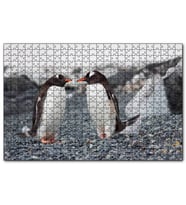 Cakapuzzle Sevimli Penguenler ve Çakıl Taşları  Puzzle Yapboz MDF (Ahşap) (500 Parça)