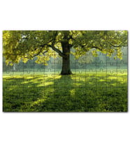 Cakapuzzle Yemyeşil Çayırda Yalnız Ağaç Güneş Işıklar Puzzle Yapboz MDF (Ahşap) (500 Parça)