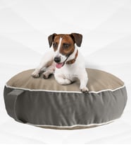 XPERMATE Fermuarlı Kedi Köpek Minderi Yıkanabilir Kedi Minderi Yuvarlak Kedi Yatağı ve Köpek Yatağı Su itici Kumaş 60x15 cm Pembe (Bej-Grı)