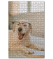 Cakapuzzle Gözlüklü Beyaz Sevimli Köpek Puzzle Yapboz MDF (Ahşap) (255 Parça)
